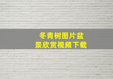 冬青树图片盆景欣赏视频下载