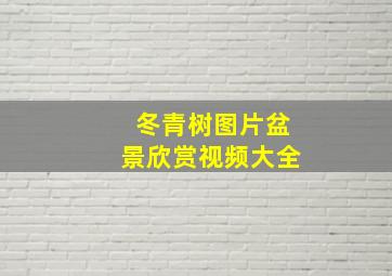 冬青树图片盆景欣赏视频大全