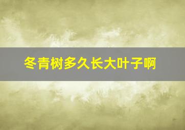 冬青树多久长大叶子啊