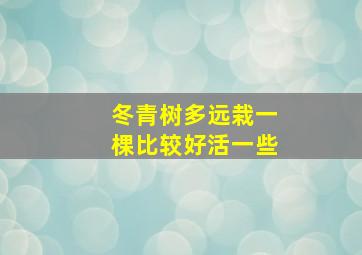 冬青树多远栽一棵比较好活一些