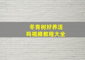 冬青树好养活吗视频教程大全