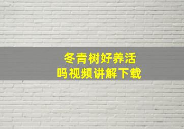 冬青树好养活吗视频讲解下载