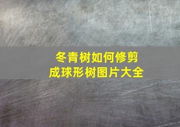 冬青树如何修剪成球形树图片大全