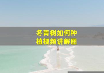 冬青树如何种植视频讲解图