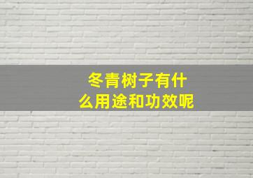 冬青树子有什么用途和功效呢