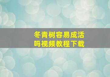 冬青树容易成活吗视频教程下载