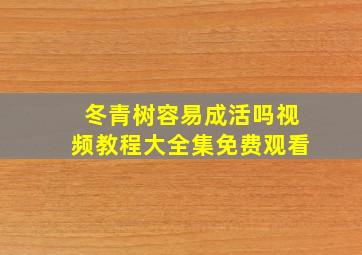 冬青树容易成活吗视频教程大全集免费观看