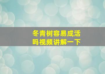 冬青树容易成活吗视频讲解一下