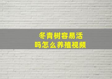 冬青树容易活吗怎么养殖视频