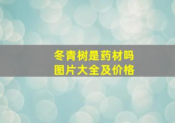 冬青树是药材吗图片大全及价格