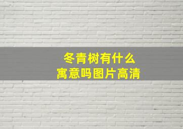 冬青树有什么寓意吗图片高清