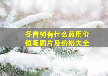 冬青树有什么药用价值呢图片及价格大全