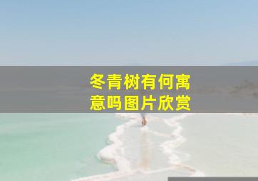 冬青树有何寓意吗图片欣赏