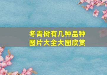 冬青树有几种品种图片大全大图欣赏