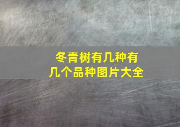 冬青树有几种有几个品种图片大全