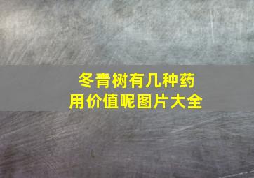 冬青树有几种药用价值呢图片大全