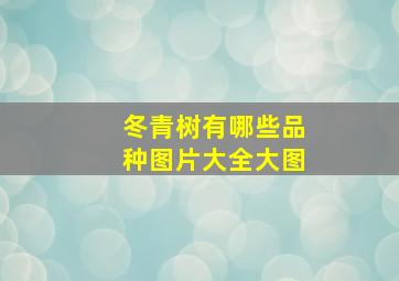 冬青树有哪些品种图片大全大图