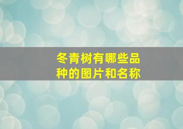 冬青树有哪些品种的图片和名称