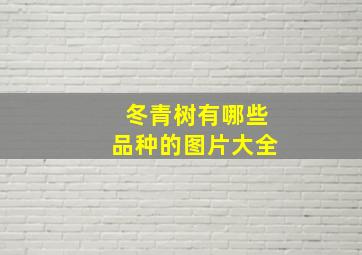 冬青树有哪些品种的图片大全