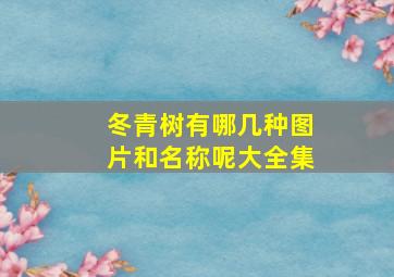 冬青树有哪几种图片和名称呢大全集