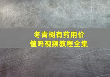 冬青树有药用价值吗视频教程全集