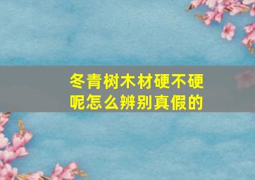 冬青树木材硬不硬呢怎么辨别真假的