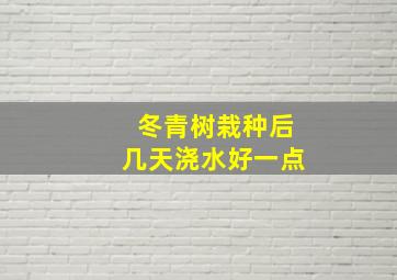 冬青树栽种后几天浇水好一点