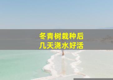 冬青树栽种后几天浇水好活