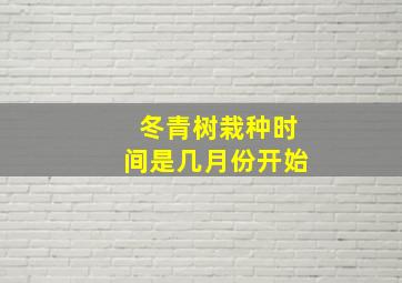 冬青树栽种时间是几月份开始