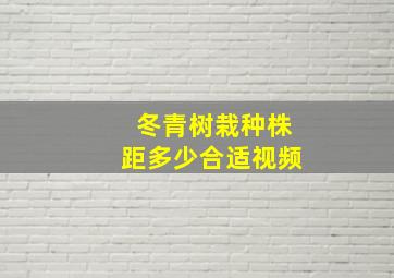 冬青树栽种株距多少合适视频