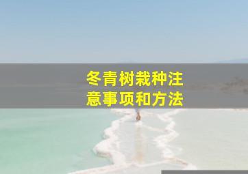 冬青树栽种注意事项和方法