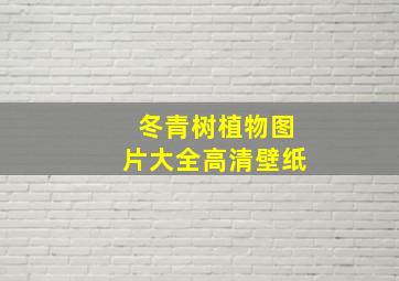 冬青树植物图片大全高清壁纸