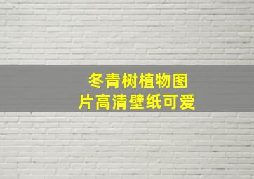 冬青树植物图片高清壁纸可爱