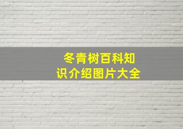 冬青树百科知识介绍图片大全