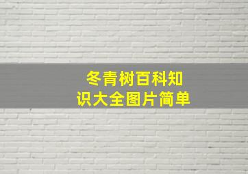 冬青树百科知识大全图片简单