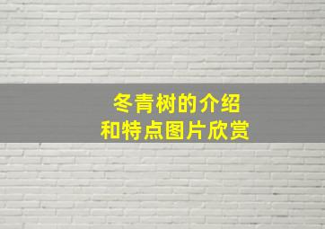 冬青树的介绍和特点图片欣赏