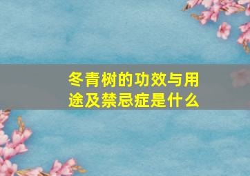 冬青树的功效与用途及禁忌症是什么