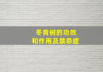 冬青树的功效和作用及禁忌症