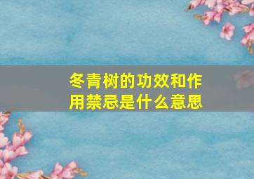 冬青树的功效和作用禁忌是什么意思