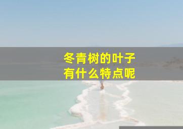 冬青树的叶子有什么特点呢