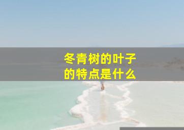 冬青树的叶子的特点是什么