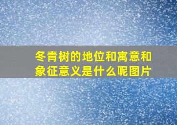 冬青树的地位和寓意和象征意义是什么呢图片