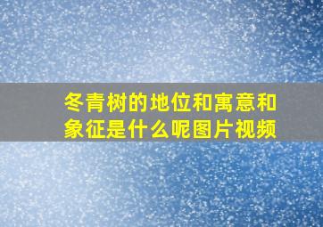 冬青树的地位和寓意和象征是什么呢图片视频