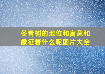 冬青树的地位和寓意和象征着什么呢图片大全