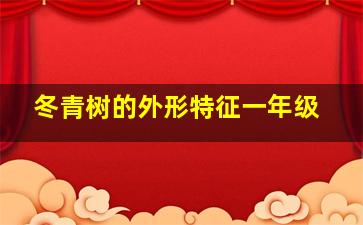 冬青树的外形特征一年级