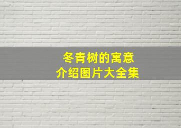 冬青树的寓意介绍图片大全集