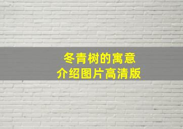 冬青树的寓意介绍图片高清版