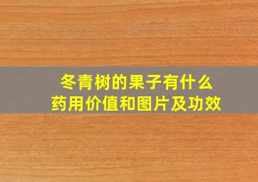 冬青树的果子有什么药用价值和图片及功效