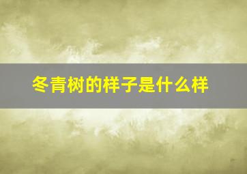 冬青树的样子是什么样