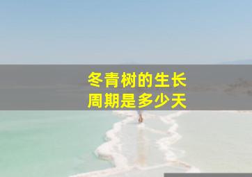 冬青树的生长周期是多少天